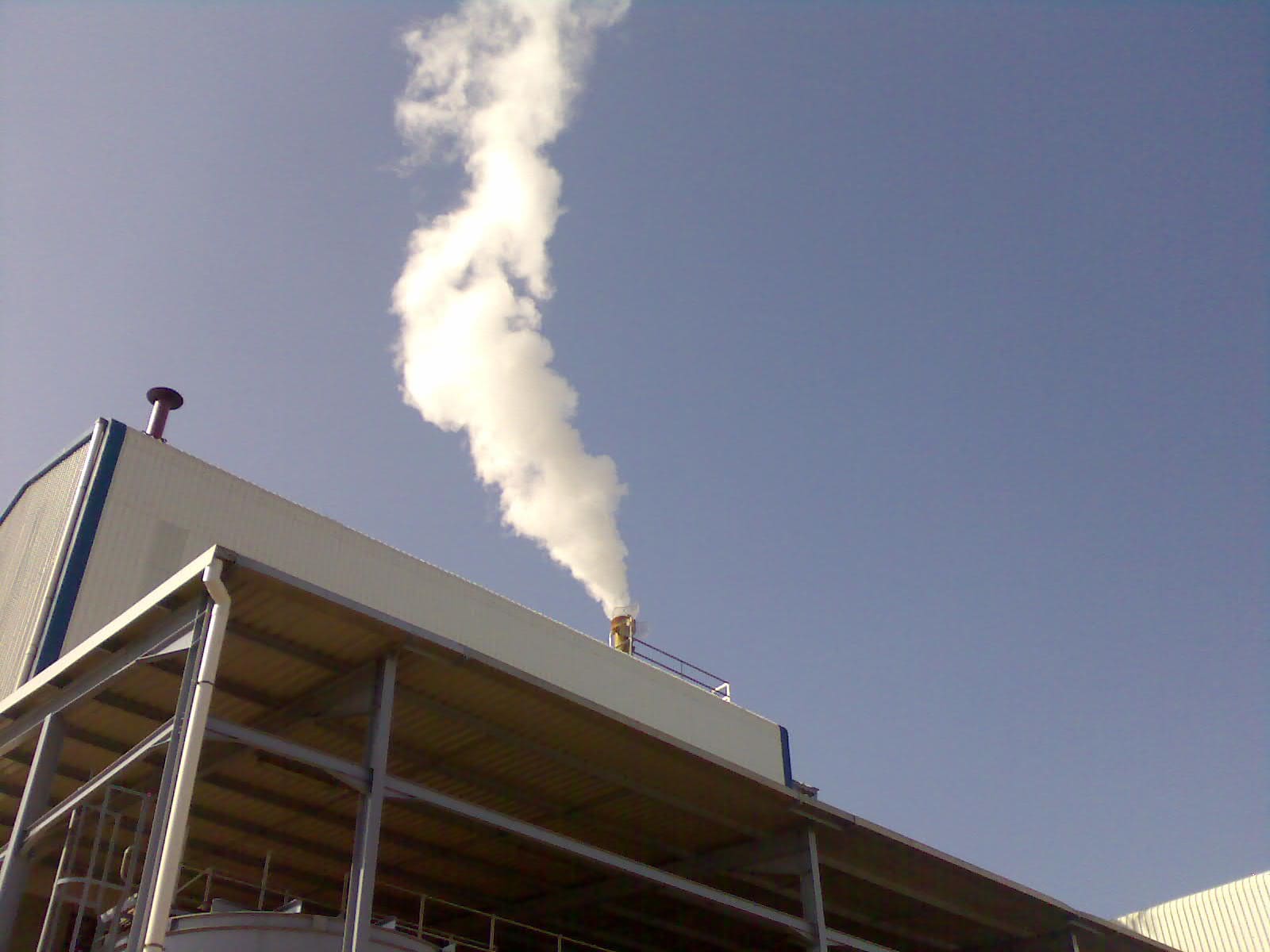 Plant & Equipment